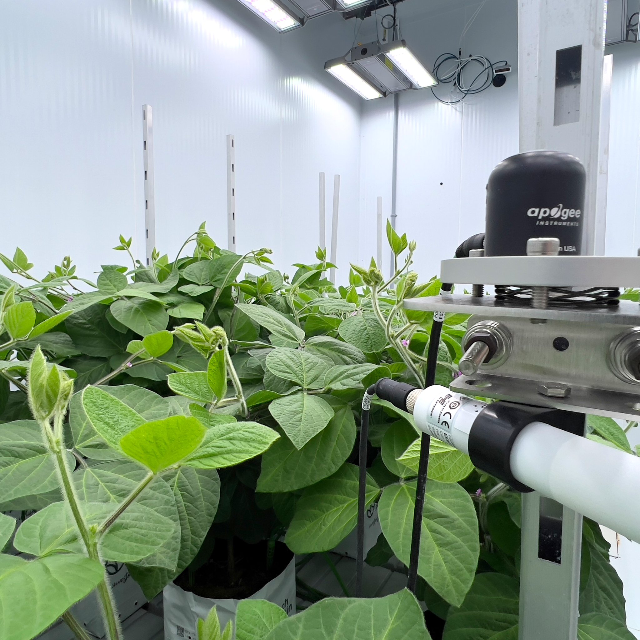 Experimental crop trials in a controlled environment
