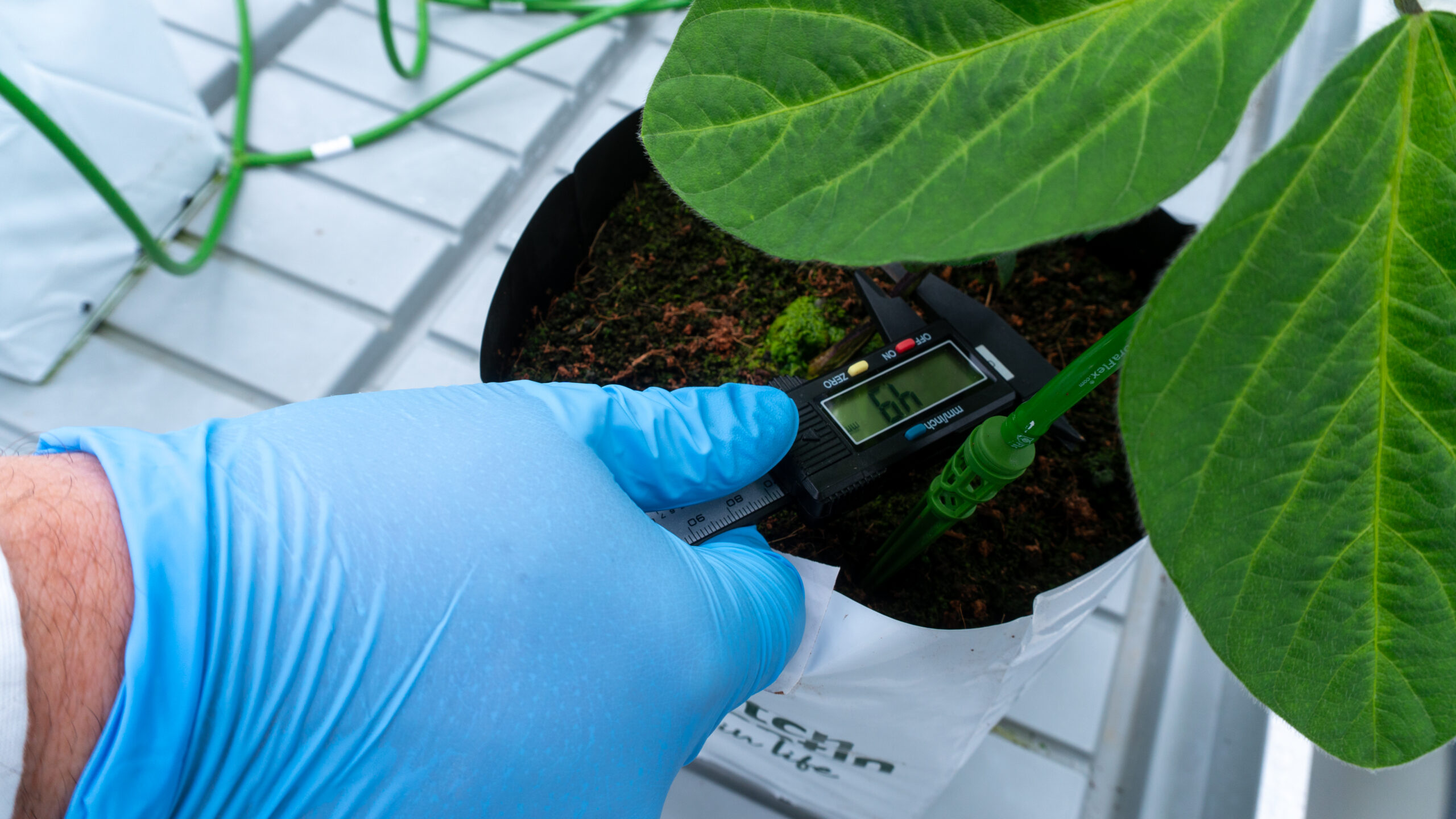 controlled-environment agriculture